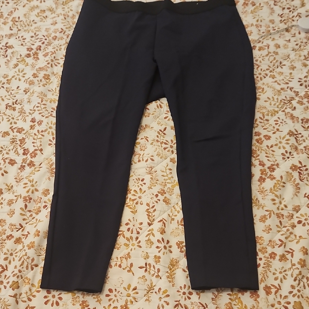 Talbots  Soho Womans Dark Blue Ankle Pants.  Size 16P.
